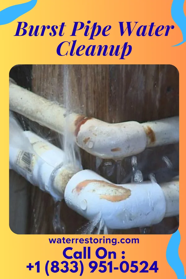 Burst Pipe Water Cleanup in West Mayfield, PA