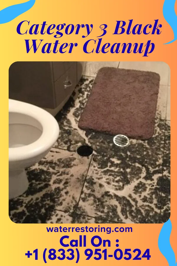 Category 3 Black Water Cleanup in West Mayfield, PA