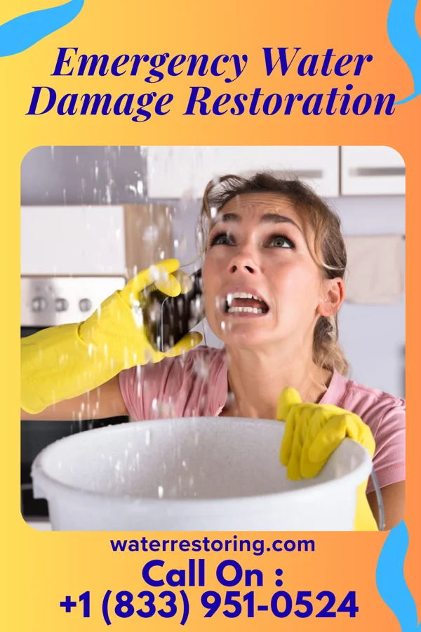 Emergency Water Damage Restoration in West Mayfield, PA