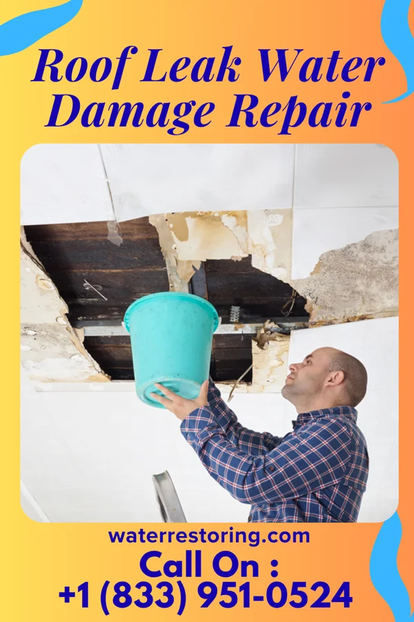 Roof Leak Water Damage Repair in West Mayfield, PA