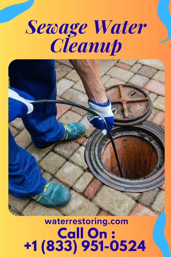 Sewage Water Cleanup in West Mayfield, PA