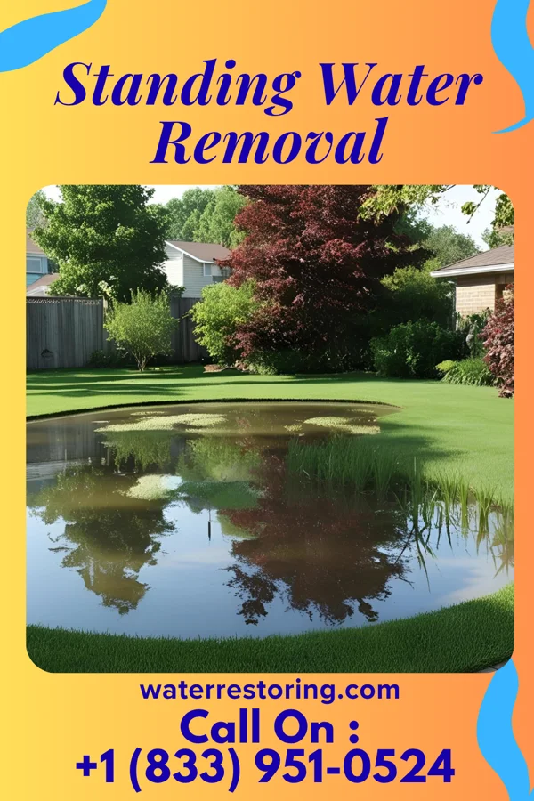 Standing Water Removal in West Mayfield, PA